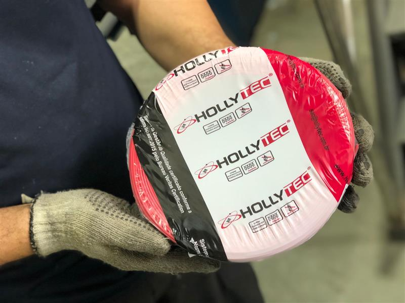 Equipe e estratégia Hollytec